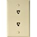 Dual 4-Conductor Flush Wall Plate - Almond