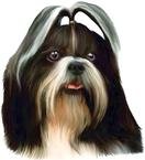 Shih Tzu Bumper Magnet2008