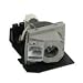 InFocus - Projector lamp - 2000 hour(s)