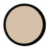 Nikon 81A - Filter - warming - 62 mm