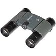 Swarovski Optiks Pocket Binocular (10x25B-P, Green)