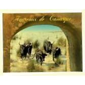 plaque metal 40x30 cm ambiance taureaux de camargue