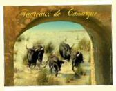 plaque metal 40x30 cm ambiance taureaux de camargue