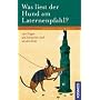 Was liest der Hund am Laternenpfahl?: 140 Fragen und Antworten rund um den Hund