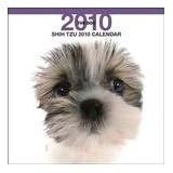 Shih Tzu Dog by THE DOG Artlist 2010 Wall Calendar 12 x 12