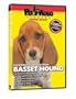 BASSETT HOUND DVD! + Dog & Puppy Training Bonus