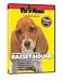 BASSETT HOUND DVD! + Dog & Puppy Training Bonus