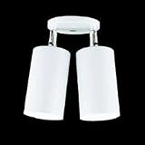 Accent / Spot Lights Thomas Lighting SL7631
