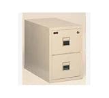 Fireking Int 2D Filing Cabinet Fireproof