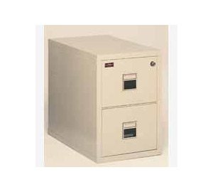 Fireking Int 2D Filing Cabinet Fireproof