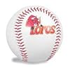 Tucson Toros Minor League Baseball Fotoball