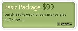 WebStore Starter Kit - Basic