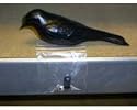 Songbird Essentials SEPMD1 Purple Martin Decoy Bird Accessory