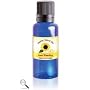Hemorrhoids Treatment: Heal Hemorrhoids Relief for Internal, External, Thrombosed and Bleeding Hemroids 11ml