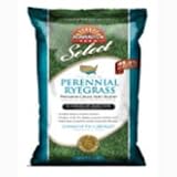 118342 25LB PENNSELECT PERENN RYE