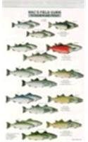 Mac's Field Guide to Salmon and Trout (Mac's Guides)
