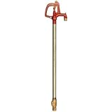 Buy Eagle Mountain #R34-2 2' Wooddford YD Hydrant by Eagle