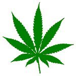 It's Harry the Happy Hemp Leaf, all Hopped up on Happiness. A beautiful organic source of food, fuel, and fiber. Call it what you like... POT! Marijuana, Weed, Ganja, Chronic, Blunts, Doobies, Joints, MMJ, Medicine... Endorse what you believe in with two 3 inch stickers, a 5 inch sticker, or our monster 13 inch sticker. Available in Black, White, and of course a beautiful Green vinyl. COLOR=GREEN, SIZE=3", QUANTITY=2