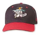 Portland Sea Dogs Batting Practice Cap by New Era