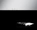 Books : Alinea (Hardcover)