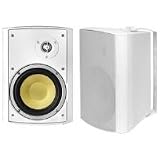 Bic America VK6IO 6.5-Inch Kevlar Series Indoor/Outdoor Speakers With Mounting Brackets