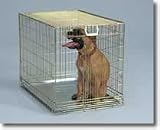 Pet Product 204 Dog Crate - Gold Fold Down - Large