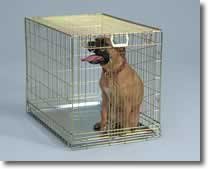 Fold Down Dog Crate – Gold/Large