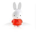 mobiBLU Miffy 2GB MP3 Player