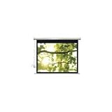 VIVITEK Pico Screen Adjustable to 30