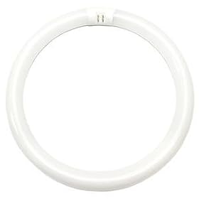 Sylvania 20142 - FC12T9/CW/RS Circular T9 Fluorescent Tube Light Bulb: Home Improvement