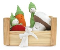 Organic Veggies and Crate