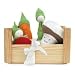 Organic Egyptian Cotton Veggies and Crate - Fair Trade