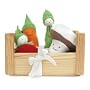 Organic Egyptian Cotton Veggies and Crate - Fair Trade