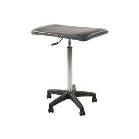 RPS Studio Double Posing Stool