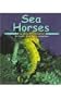 Sea Horses (Pebble Books)