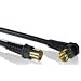3FT BLACK/GOLD COAXIAL CABLE