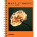 Mapplethorpe 2009 Calendar