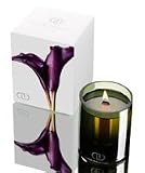 Dayna Decker Large Botanika Candle - Violetta - 16 oz.