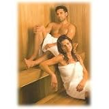 Thermasol Wall Mounted Residential Sauna Heater ,8000 Watts, 33,3 Amps, - BIC80/BIC80