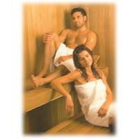 Thermasol Wall Mounted Residential Sauna Heater ,6000 Watts, - BIC60/BIC60