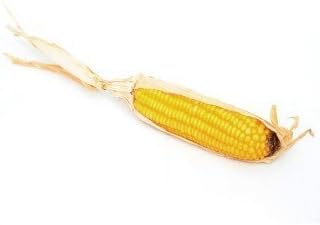 Artificial Veg Corn On The Cob