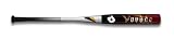 DeMarini VooDoo Black (-10) Youth Baseball Bat - 2009 Model
