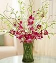 Same Day Flower Delivery 1-800-FLOWERS&reg; Orchid Embrace