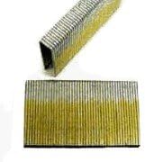 National Nail 687130 16 Gauge Staple Construction 2 x .5