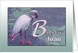 Birthday Luau Party Invitation - Pink Flamingo Card