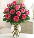 Same Day Flower Delivery One Dozen Long-Stem Pink Roses