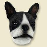 Boston Terrier Head for Conversation Concepts Doogies