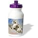 labrador31  - Dogs Labrador Retriever Labrador Retriever Water Bottles