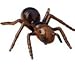 US Toy Realistic Ants Action Figure (1 Dozen)