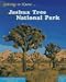 Getting to Know Joshua Tree National Park